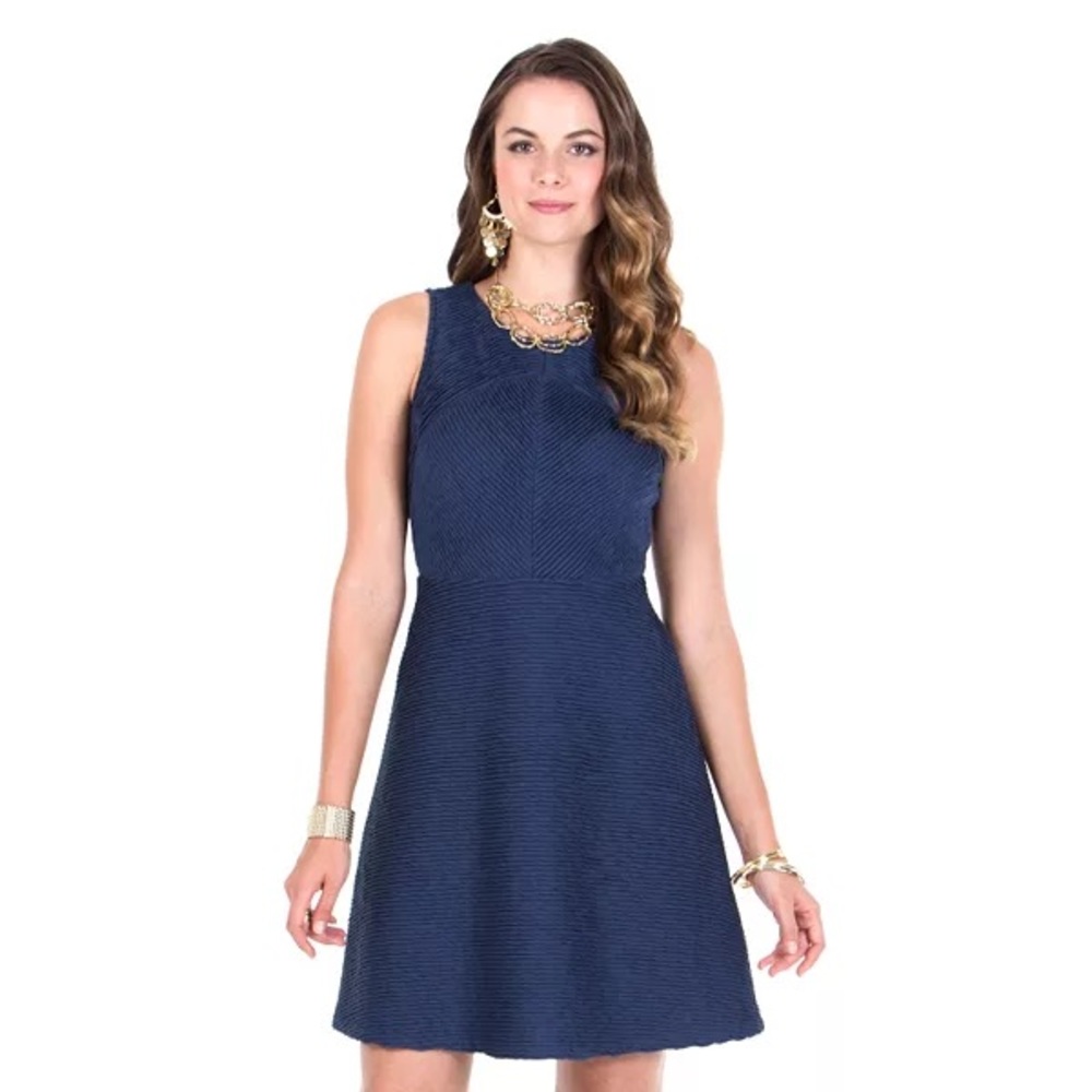 Navy Fit and Flare Dress